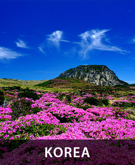 Korea + Jeju